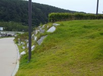부산시